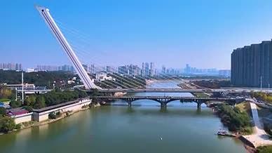 世界之最大竖琴结构斜拉桥洪山大桥交通桥梁视频的预览图